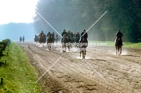 riding horses on a race course