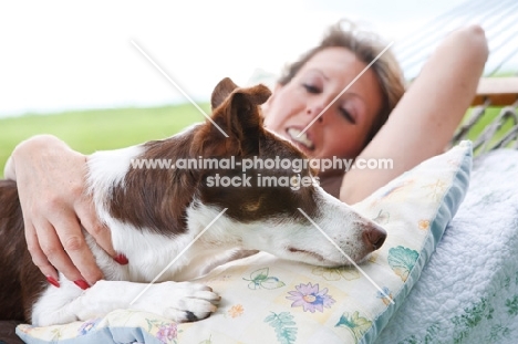 Border Collie with owner in hammock