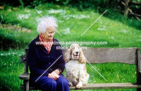 grey haired lady with her cocker spaniel