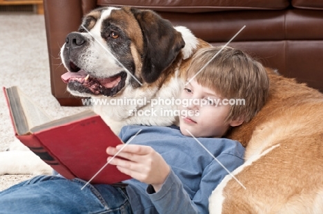 boy reading a book with Saint Bernard