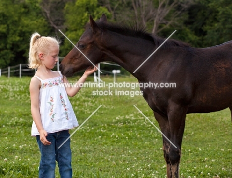 girl looking at appaloosa