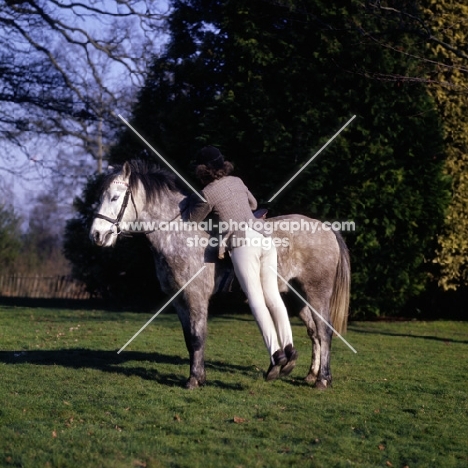 exercises on horseback