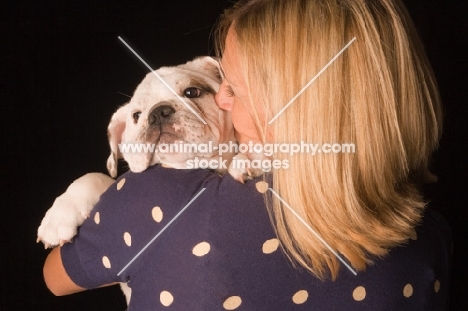 Bulldog being cuddled