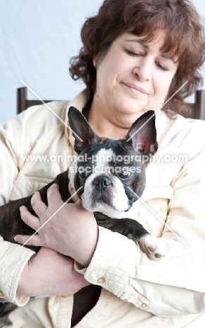 Boston Terrier with woman