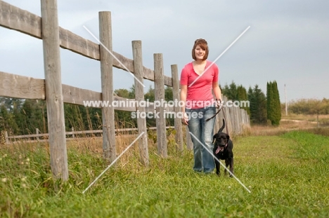 Young woman walking her Black Labrador Retriever near a fence in a grassy field.