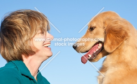 Golden Retriever looking at woman