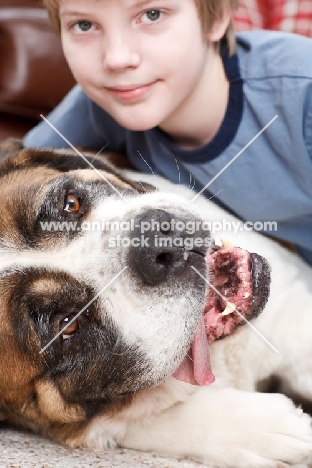 boy with Saint Bernard