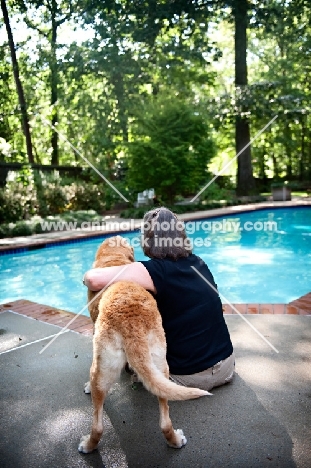 Labrador Retriever with woman near pool