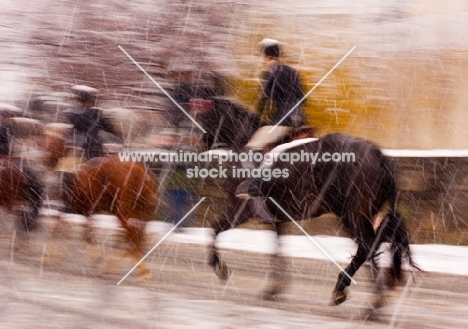 riding horses in winter