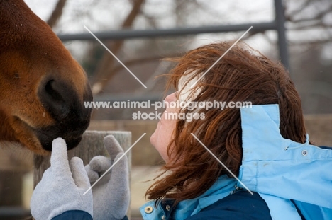 Morgan horse and woman