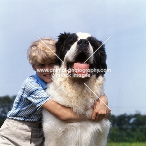 young boy with his st bernard