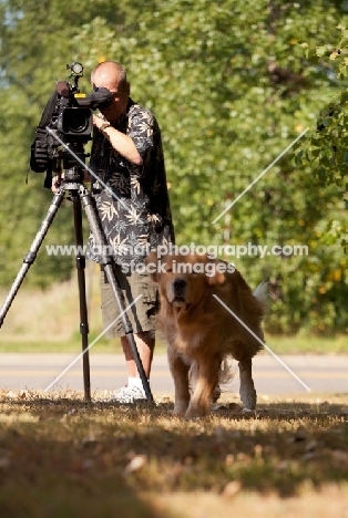 Golden Retriever being filmed