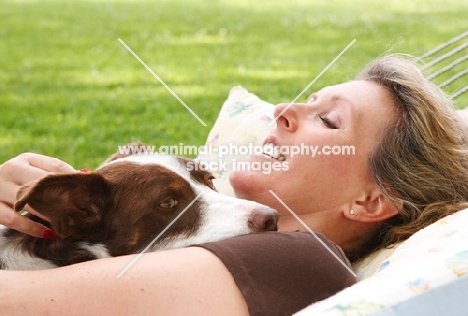 Border Collie in hammock with woman