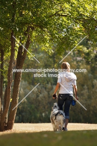 blue merle Australian Shepherd dog with woman