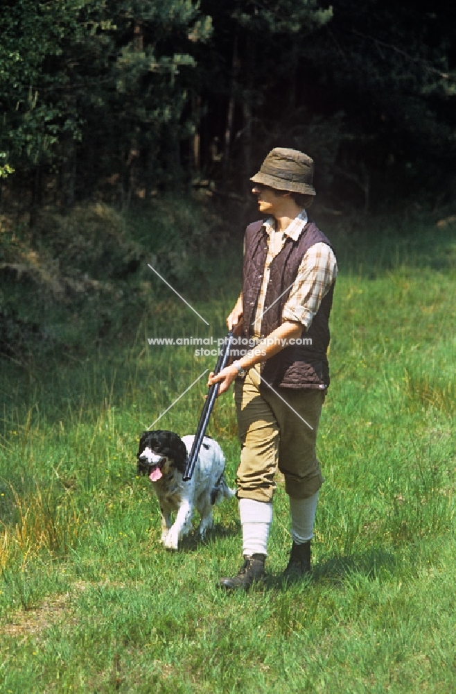 working type english springer spaniel with gamekeeper