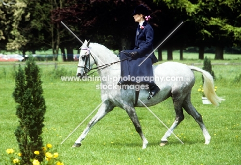 a lady riding side saddle