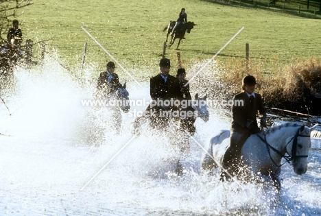 horses and riders out with the berks and bucks drag hunt crossing water