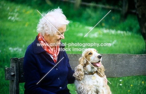 grey haired lady with her cocker spaniel