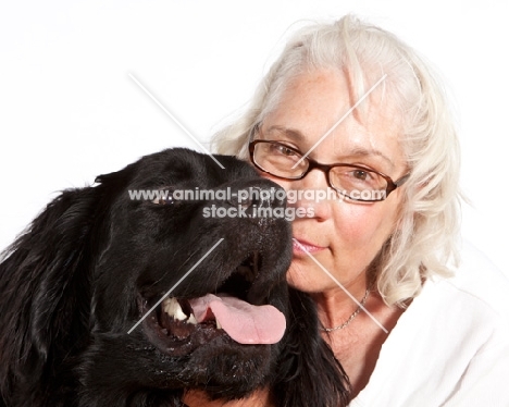 Newfoundland mixed breed