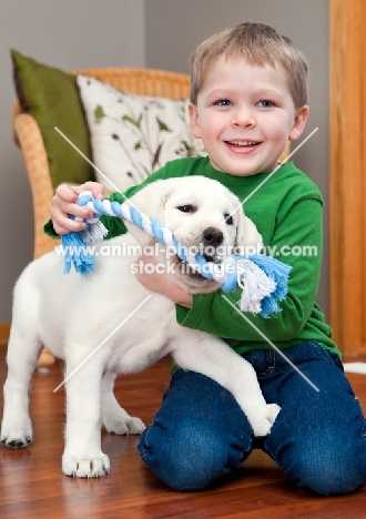 Labrador puppy with rope toy