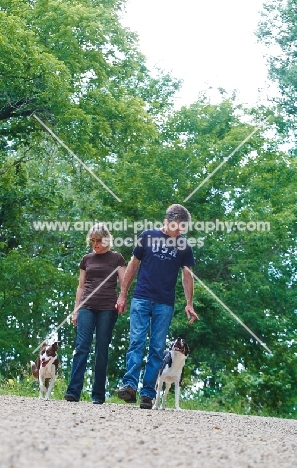 Border Collies with owners