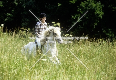 young girl riding welsh mountain pony through long grass