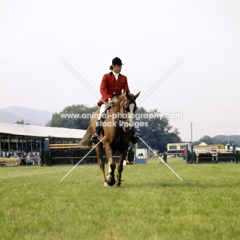 graham fletcher, show jumper, 3 counties show ‘75