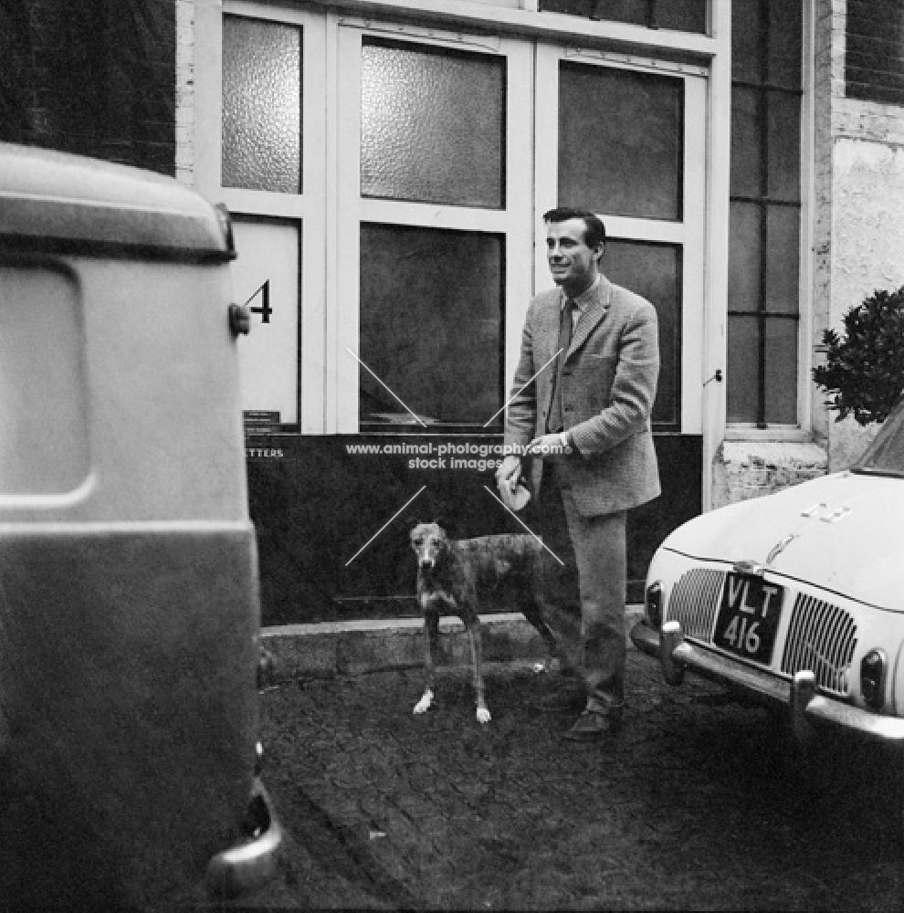 man with a greyhound in a cobbled street