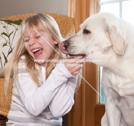 girl and Labrador