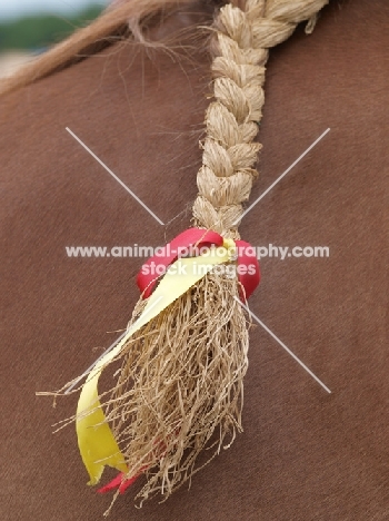 Suffolk Punch straw plait