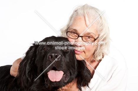 Newfoundland mixed breed with older woman