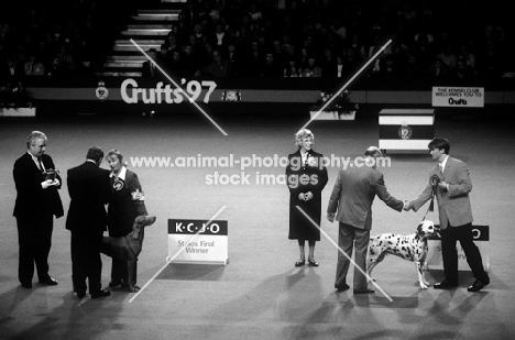 crufts 1997 kcjo stakes reserve winner