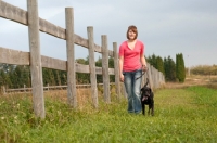 Picture of Young woman walking her Black Labrador Retriever near a fence in a grassy field.